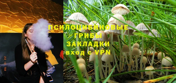 дживик Вязники