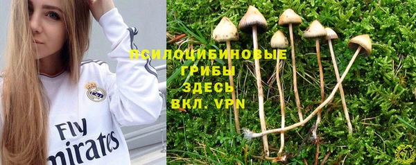прущие крисы Протвино
