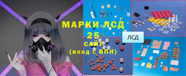 прущий лед Алзамай